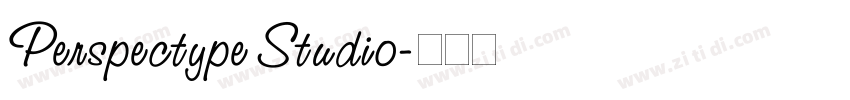Perspectype Studio字体转换